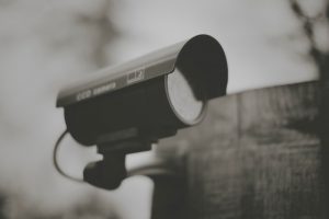 joe gadd dylsnf8hnho unsplash